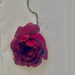 Red Wine White - Image 4