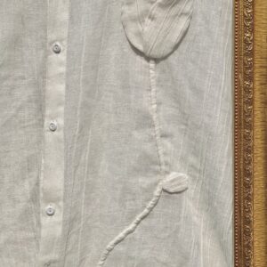 Parsa - Image 5